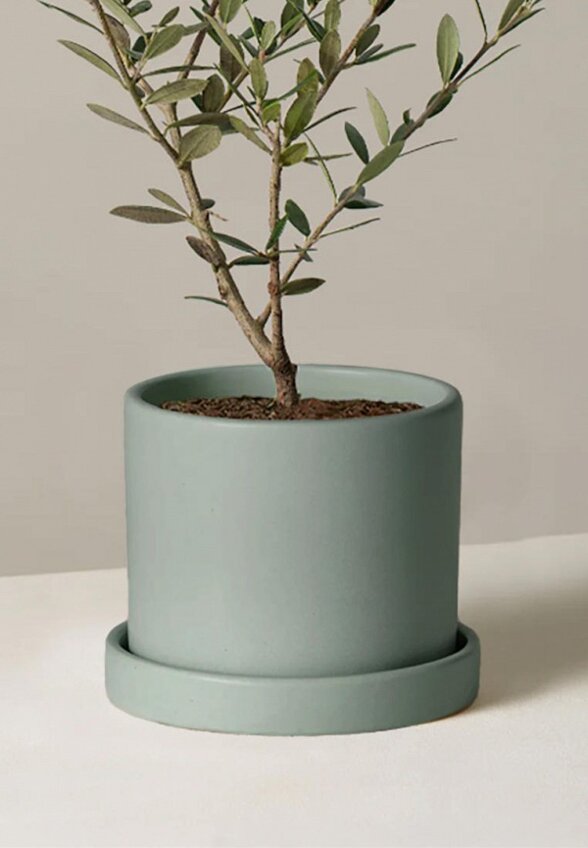 Кашпо Mandarin Decor