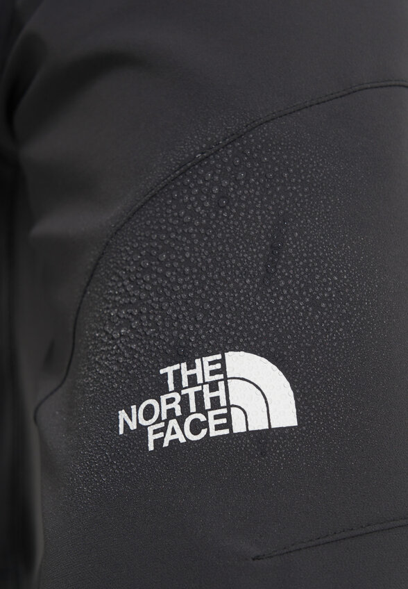 Брюки мужские The North Face Diablo Reg, Серый