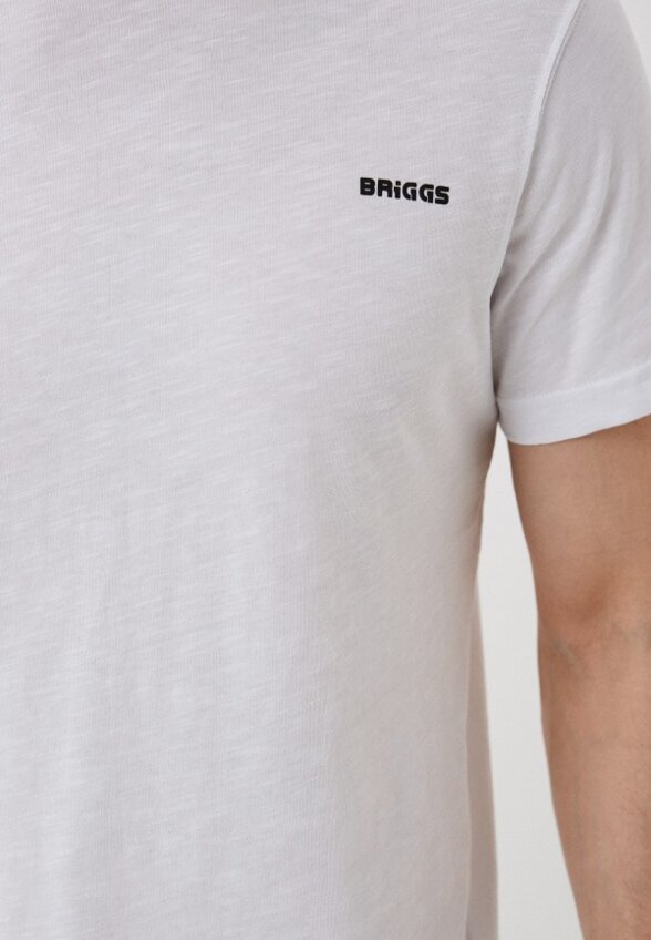 Футболка Briggs
