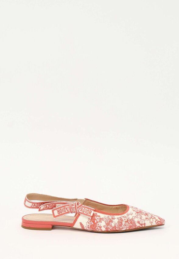 Dior Shoes