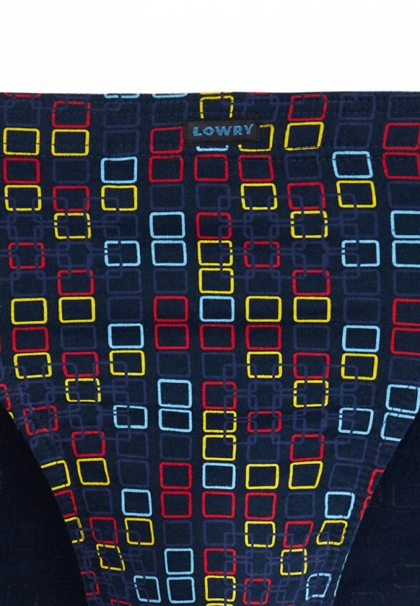 Трусы 2 шт. Lowry Collection