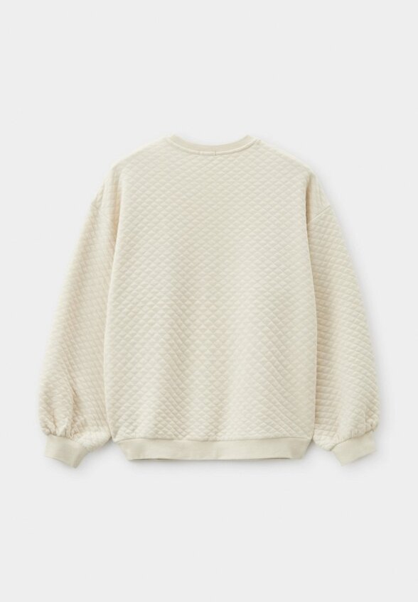 Свитшот Gulliver