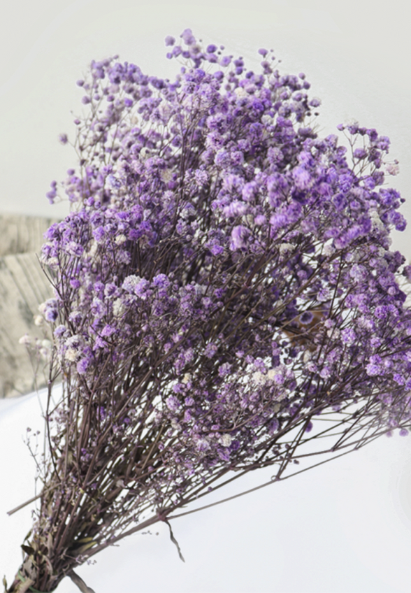 Растение искусственное Mandarin Decor