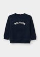 Худи Tommy Hilfiger1  - превью