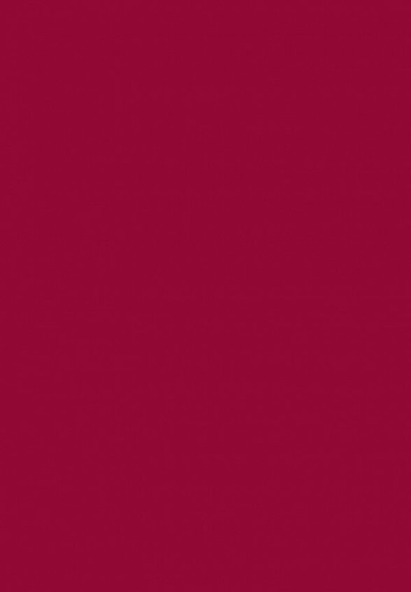 Помада жидкая Shik