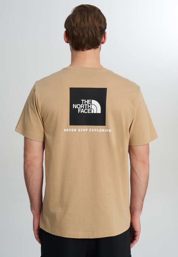 Футболка мужская The North Face Evolution, Бежевый