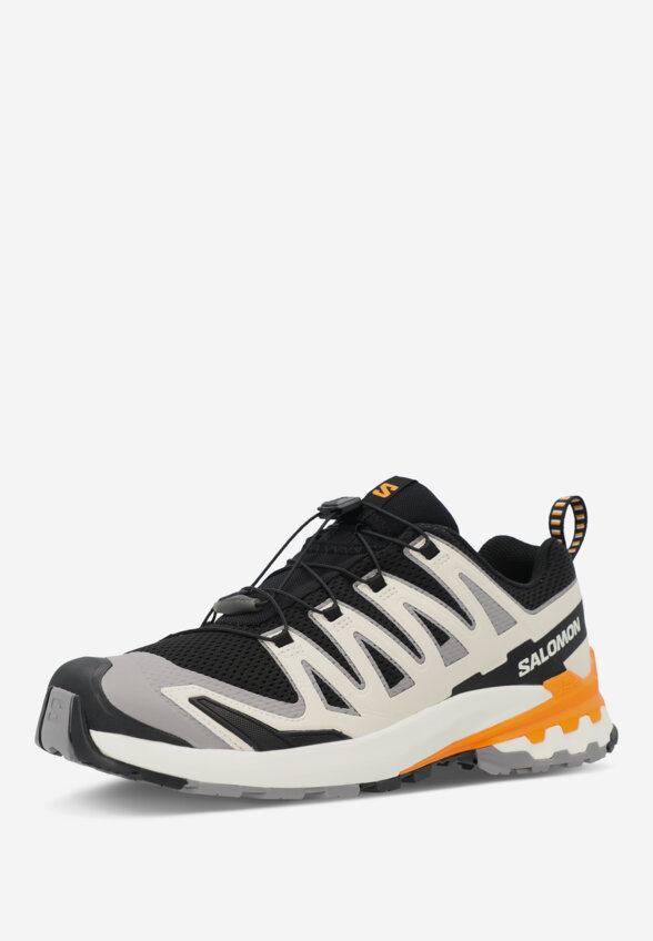 Кроссовки мужские Salomon XA Pro 3 D V9, Черный