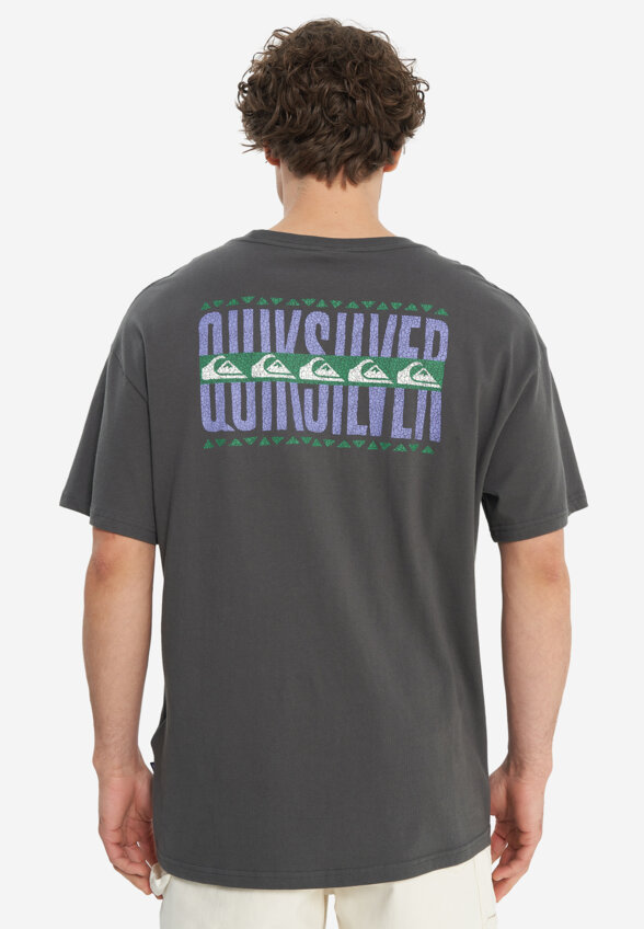 Футболка мужская оверсайз Quiksilver World Force, Серый