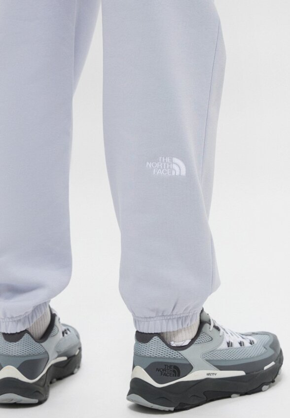 Брюки спортивные The North Face