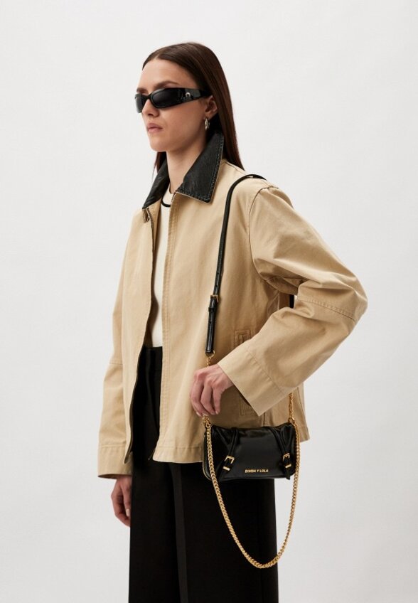 Сумка Bimba Y Lola