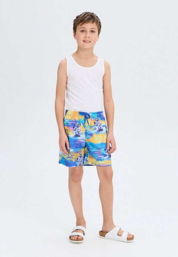 Шорты для плавания Norveg