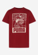 Футболка для мальчиков PUMA ESS+ Mid 90s Graphic, Красный7  - превью