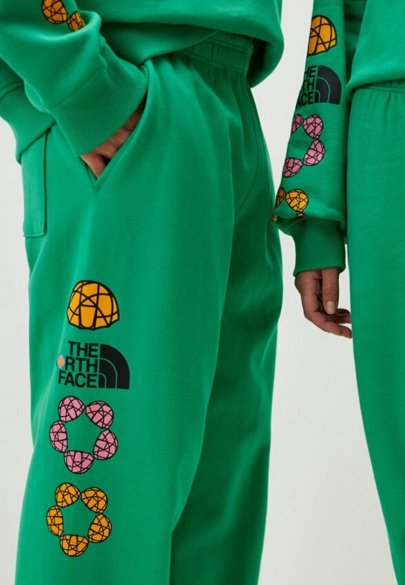 Брюки спортивные The North Face