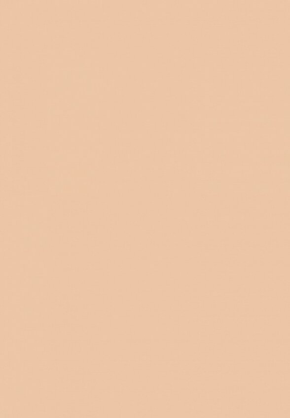 Тональная основа MAC