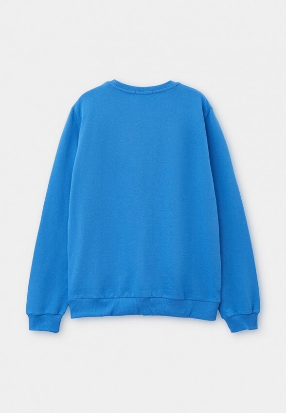 Свитшот Elementarno