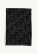 Dior Scarf1  - превью