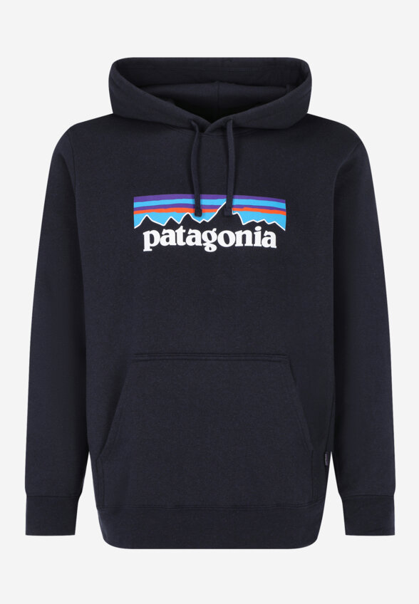 Худи мужское Patagonia Logo Uprisal, Синий
