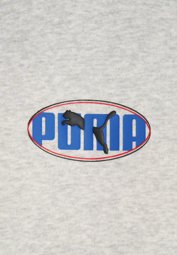 Худи мужское PUMA Ess Logo Lab Execution, Серый