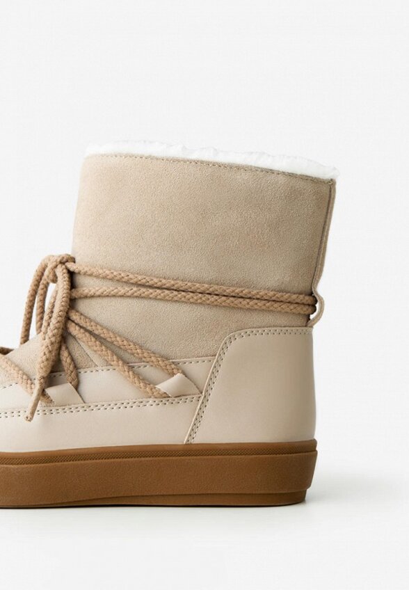 Луноходы Wysh