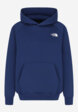 Худи мужское The North Face Raglan Box Nse, Синий9  - превью