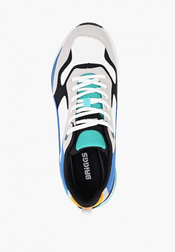 Кроссовки Briggs