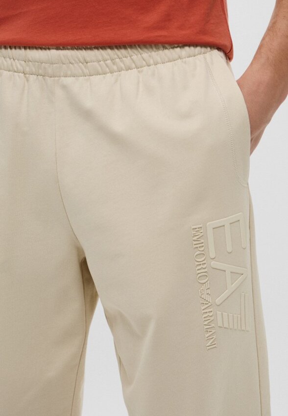 Брюки спортивные EA7