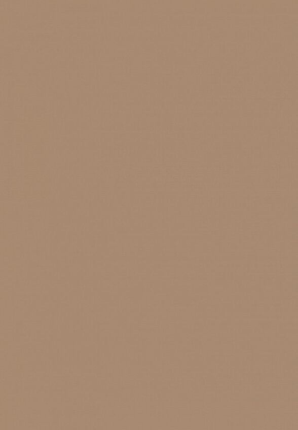 Тени для век Russian Beauty Guru