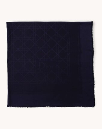 Dior Scarf женщинам