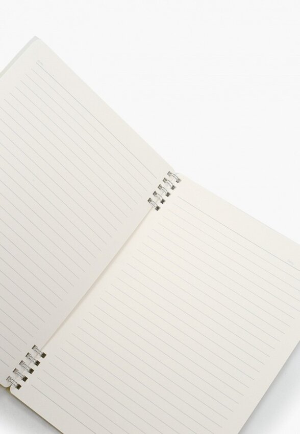 Тетрадь на кольцах Deli