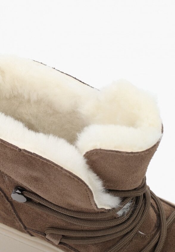 Луноходы Camille