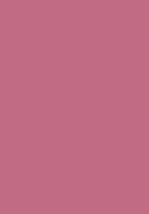 Помада L'Oreal Paris