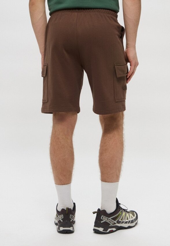 Шорты спортивные The North Face