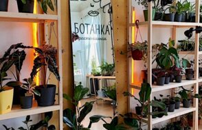 Растенишная Ботанка