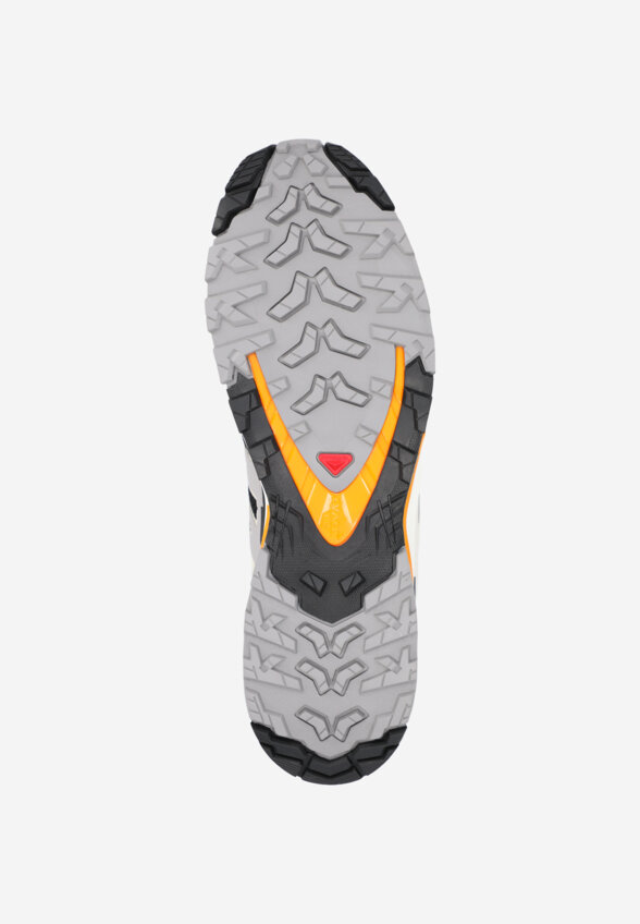 Кроссовки мужские Salomon XA Pro 3 D V9, Черный