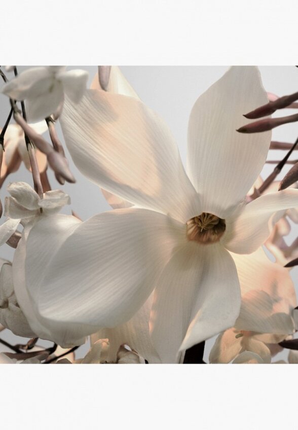 Парфюмерная вода Paco Rabanne