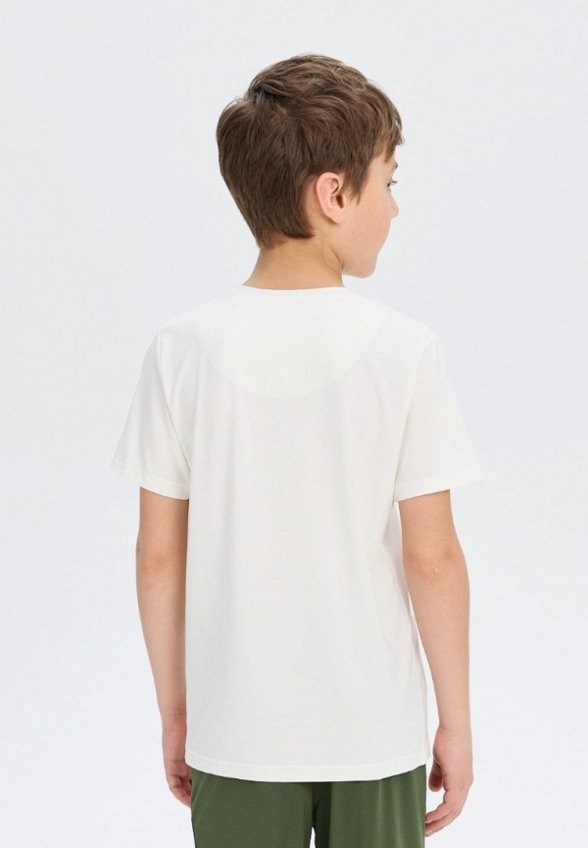 Футболка домашняя Norveg