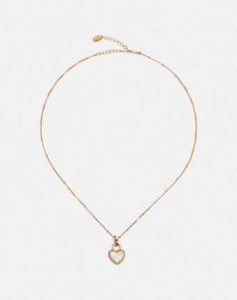 Цепь и подвеска Attribute Shop женщинам