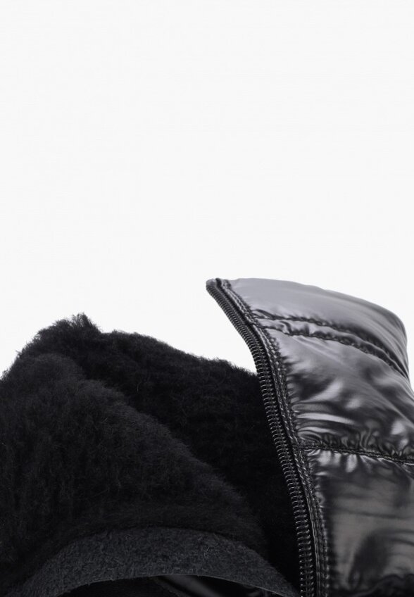 Дутики Ascalini