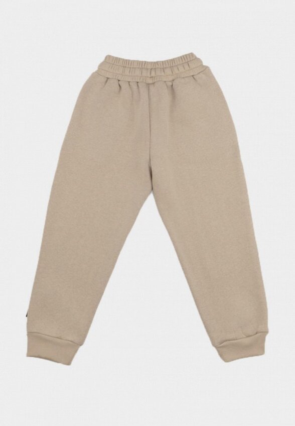 Брюки спортивные Nordman