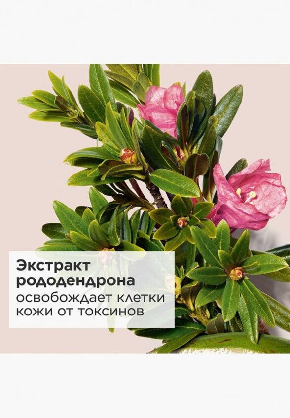 Спрей для фиксации макияжа Clarins