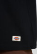 Футболка мужская DICKIES Mineral Heavyweight, Черный6  - превью