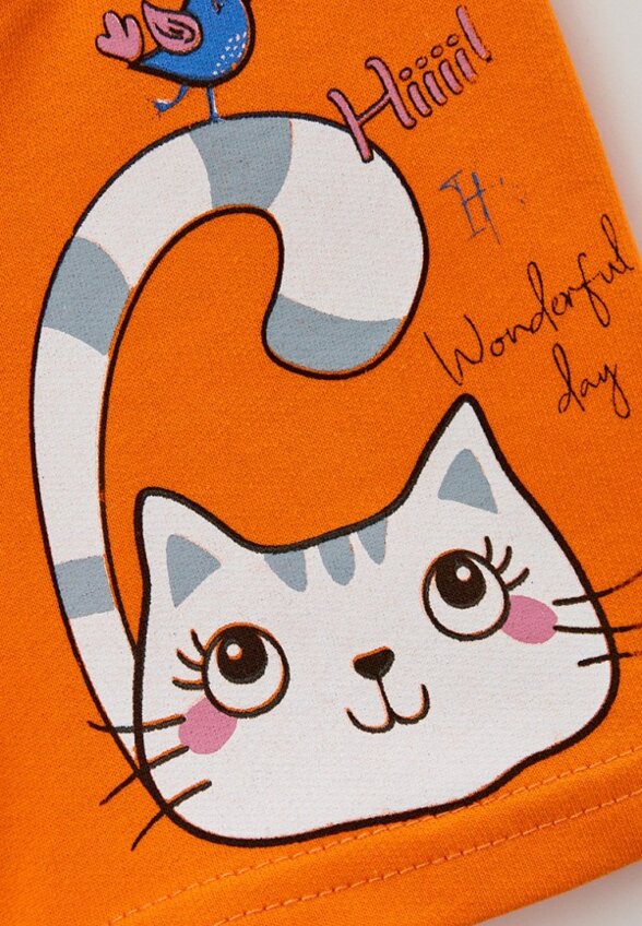 Шорты Elementarno