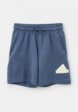 Шорты спортивные adidas1  - превью