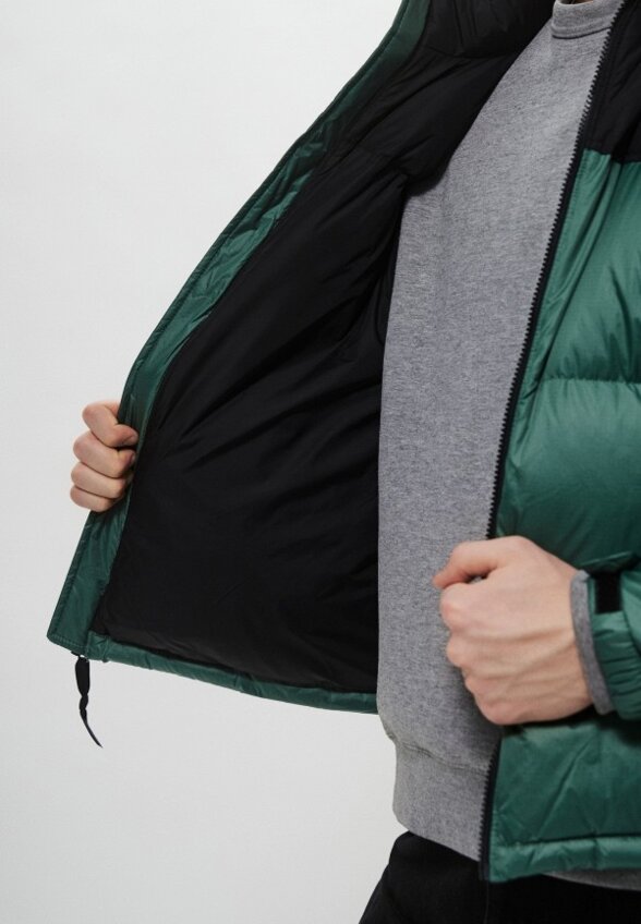 Пуховик The North Face