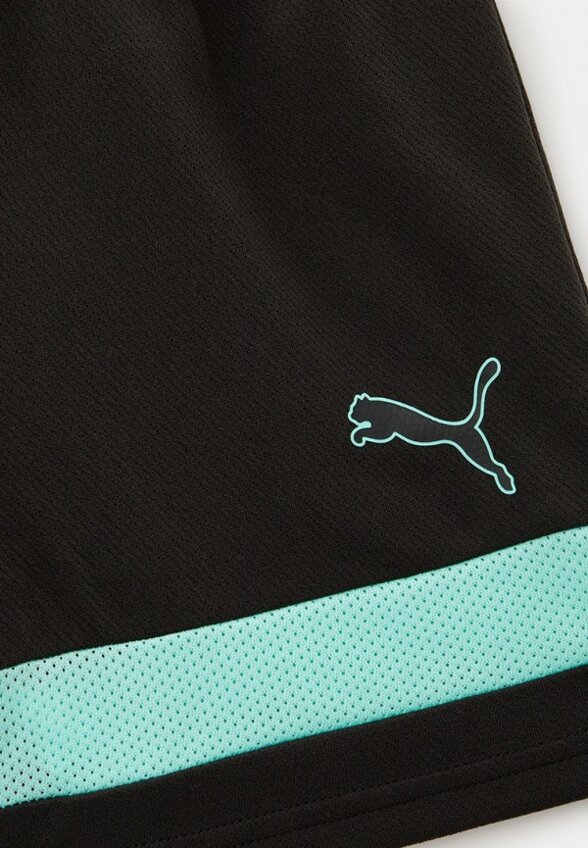 Шорты спортивные PUMA