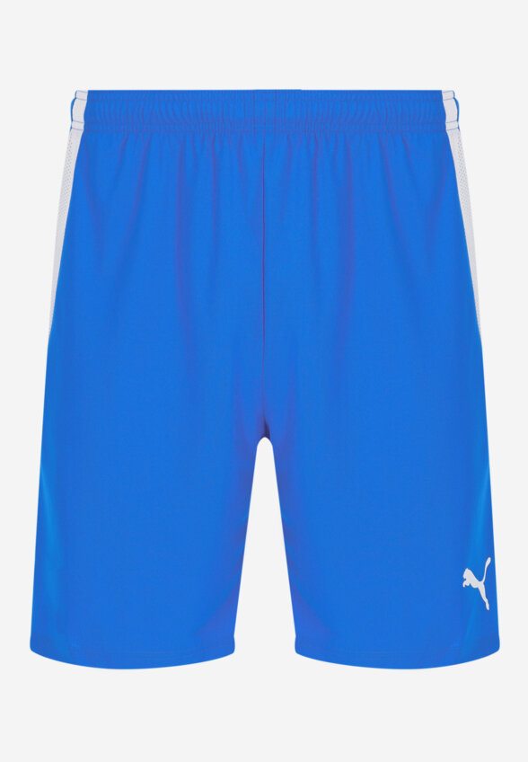 Шорты мужские PUMA teamLIGA, Синий
