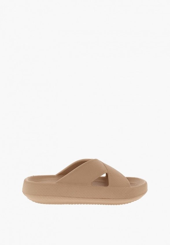 Сланцы De Fonseca