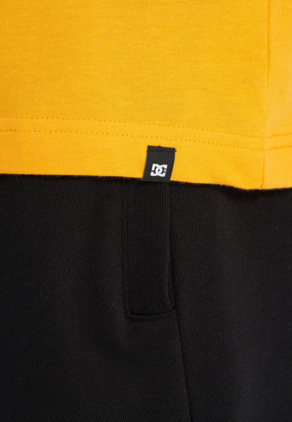 Футболка мужская DC Shoes Essy Dorrington, Желтый