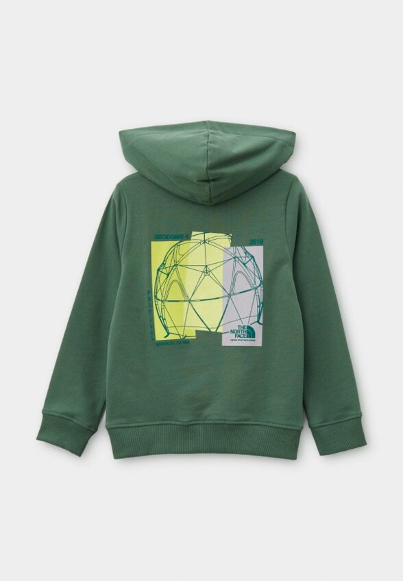 Худи The North Face