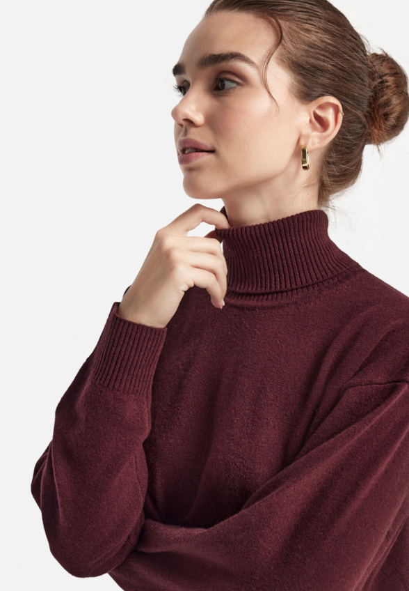 Водолазка Falconeri